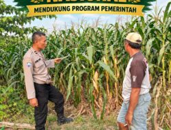 Mendukung Asta Cita Presiden Polmas Polsek Montong Polresta Tuban Pantau Kodisi Tanaman Jagung Milik Warga Desa Jetak
