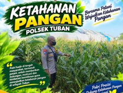 Polsek Tuban Dukung Ketahanan Pangan melalui Sambang dan Monitoring Tanaman Jagung