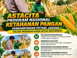 Polsek Parengan Polresta Tuban Pantau Lahan Jagung Warga Desa Ngawun Dukung Program Astacita
