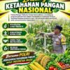 Polri Dukung Astacita, Polsek Rengel Polresta Tuban Turun Cek Tanaman Jagung Warga di Desa Pekuwon