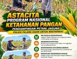 Dukung Astacita, Polsek Palang Polresta Tuban Pantau Langsung Lahan Jagung milik warga Desa Dawung