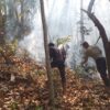Babinsa dan Warga Mareje Berjibaku Padamkan Kebakaran Hutan