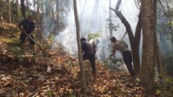 Babinsa dan Warga Mareje Berjibaku Padamkan Kebakaran Hutan
