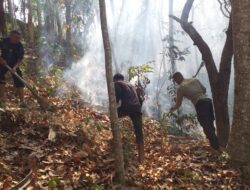 Babinsa dan Warga Mareje Berjibaku Padamkan Kebakaran Hutan
