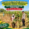 Mendukung Asta Cita Presiden Polmas Polsek Montong Polresta Tuban Pantau Kodisi Tanaman Jagung Milik Warga Desa Jetak