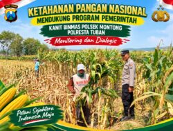 Mendukung Asta Cita Presiden Polmas Polsek Montong Polresta Tuban Pantau Kodisi Tanaman Jagung Milik Warga Desa Jetak
