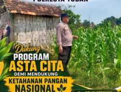 “PANTAU PERTUMBUHAN JAGUNG PETANI, POLSEK KEREK DUKUNG PROGRAM KETAHANAN PANGAN NASIONAL”