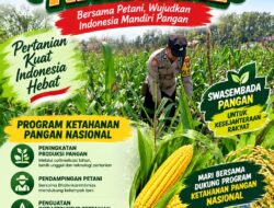Kawal Swasembada Pangan, Polsek Jatirogo Pantau Langsung Tanaman Jagung di Paseyan