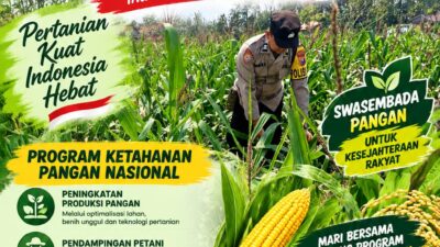 Kawal Swasembada Pangan, Polsek Jatirogo Pantau Langsung Tanaman Jagung di Paseyan