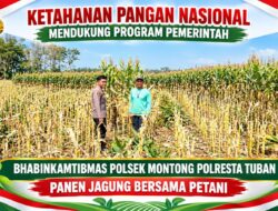 Mendukung Asta Cita Presiden bhabinkamtibmas Polsek Montong Polresta Tuban Pantau Kodisi Tanaman Jagung Milik Warga Desa pakel