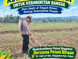 Anggota Polsek Singgahan Polresta Tuban Turun Cek Tanaman jagung Warga di Desa Lajo Lor