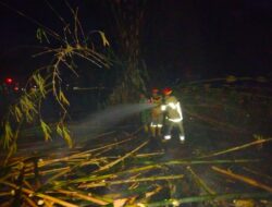 Babinsa Sesela dan Damkar Padamkan Kebakaran Lahan Bambu