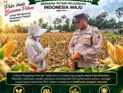 Polsek Plumpang Polresta Tuban Turun Langsung Cek Tanaman Jagung Warga