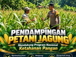 Polsek Parengan Polresta Tuban Pantau Lahan Jagung Warga Desa Pacing Dukung Program Astacita