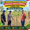 Mendukung Asta Cita Presiden bhabinkamtibmas Polsek Montong Polresta Tuban Pantau Kodisi Tanaman Jagung Milik Warga Desa pakel