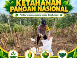 POLSEK BANGILAN DUKUNG KETAHANAN PANGAN NASIONAL MELALUI MONITORING DAN PENDAMPINGAN HASIL PANEN JAGUNG WARGA