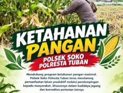 Polsek Soko Polresta Tuban Turun Langsung Cek Tanaman Jagung Warga