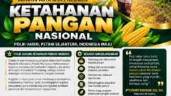 Polsek Plumpang Polresta Tuban Turun Langsung Cek Tanaman Jagung Warga