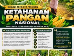 Polsek Plumpang Polresta Tuban Turun Langsung Cek Tanaman Jagung Warga
