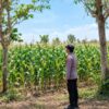 Dukung Asta Cita Presiden, Bhabinkamtibmas Polsek Tambakboyo Monitoring Lahan Jagung Binaan