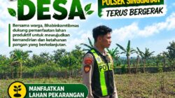 Anggota Polsek Singgahan Polresta Tuban Turun Cek Tanaman jagung Warga di Desa Tingkis