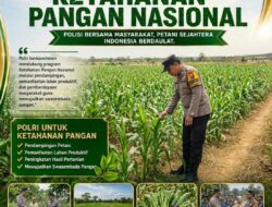 PANTAU LAHAN JAGUNG DI DESA BINAAN, POLSEK KEREK POLRESTA TUBAN DUKUNG KETAHANAN PANGAN NASIONAL