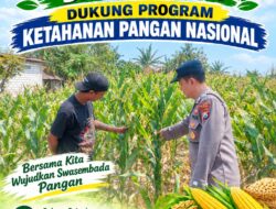 Polsek Palang Dukung Ketahanan Pangan Nasional Melalui Pemantauan Lahan Jagung