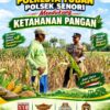 Program Ketahanan Pangan Bhabinkamtibmas Polsek Senori Polresta Tuban Lakukan Pemantauan Tanaman Jagung Warga Desa Wanglukulon