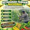Dukung Ketahanan Pangan Nasional, Bripda Dodi Eko Lakukan Pendampingan Panen Jagung Warga di Desa Sukoharjo