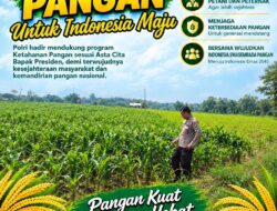 Polri Dukung Astacita, Polsek Merakurak Polresta Tuban Turun Cek Tanaman Jagung Warga di Desa Tuwiri Wetan