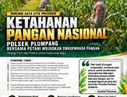 Polsek Plumpang Polresta Tuban Turun Langsung Cek Tanaman Jagung Warga