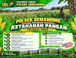 *Polri Dukung Astacita, Polsek Semanding Polresta Tuban Turun Cek Tanaman jagung milik Warga di Desa Kowang