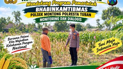 Mendukung Asta Cita Presiden bhabinkamtibmas Polsek Montong Polresta Tuban Pantau Kodisi Tanaman Jagung Milik Warga Desa pakel