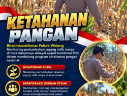 Mendukung Program Ketahanan Pangan, Bhabinkamtibmas Monitoring Pertumbuhan Jagung