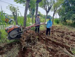 Wujud Polisi Cinta Petani, Polsek Tambakboyo Bantu Petani Olah Lahan Dengan Traktor