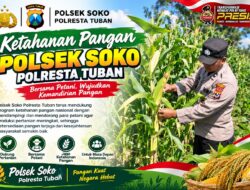 Polsek Soko Polresta Tuban Turun Langsung Cek Tanaman Jagung Warga