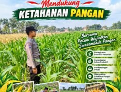Anggota Bhabinkamtibmas Polsek Senori Polresta Tuban Monitoring Tanaman Jagung Milik Warga Desa Jatisari Dukung Program Ketahanan Pangan