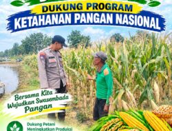 Polri dukung progam Astacita, Polsek Jatirogo Polresta Tuban Turun Cek Tanaman jagung Warga di Desa Kebonharjo