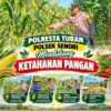 Bhabinkamtibmas Polsek Senori Polresta Tuban Lakukan Pemantauan Tanaman Jagung Warga Desa Sendang Guna Mendukung Program Ketahanan Pangan