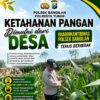 ANGGOTA POLSEK BANGILAN DUKUNG KETAHANAN PANGAN TANAMAN JAGUNG