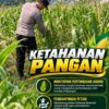 Mendukung Program Ketahanan Pangan, Bhabinkamtibmas Monitoring Pertumbuhan Jagung