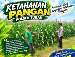 Polsek Tuban Dukung Petani, Wujudkan Ketahanan Pangan Nasional
