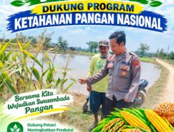 Polsek Palang Dukung Ketahanan Pangan Nasional Melalui Pemantauan Lahan Jagung