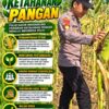 Mendukung Program Ketahanan Pangan, Bhabinkamtibmas Monitoring Pertumbuhan Jagung